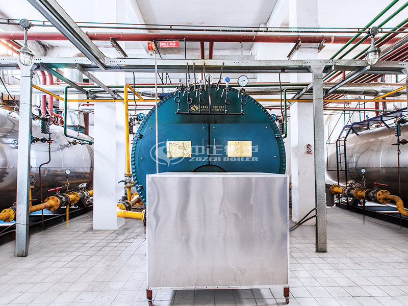 金新農飼料4噸WNS系列冷凝式燃氣鍋爐項目 金新農飼料4噸WNS系列冷凝式燃氣鍋爐項目