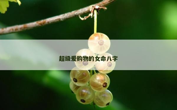 超級(jí)愛購物的女命八字